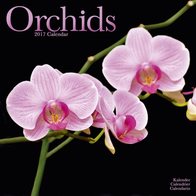 Orchids Calendar 2017, Paperback Book