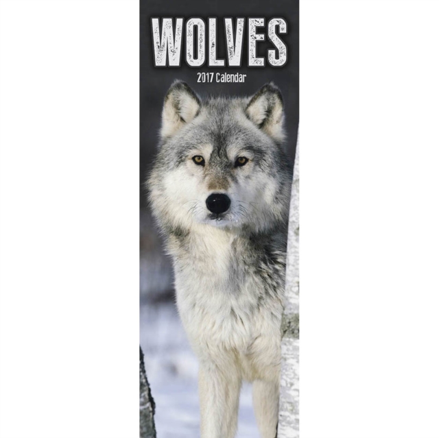 Wolves Slim Calendar 2017, Calendar Book