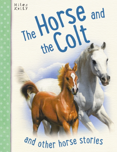 The Horse and the Colt, Paperback Book