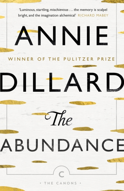 The Abundance, Paperback / softback Book
