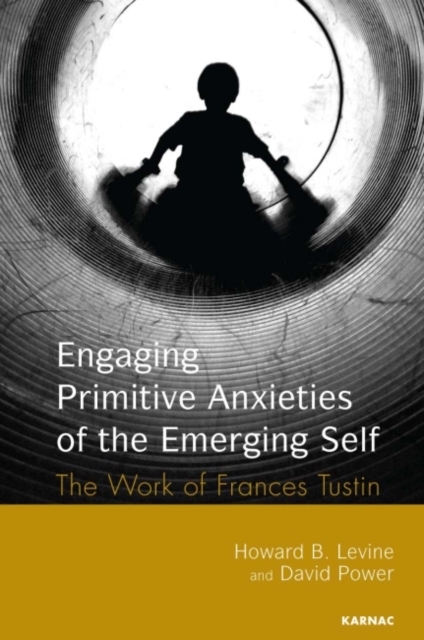 Engaging Primitive Anxieties of the Emerging Self : The Legacy of Frances Tustin, Paperback / softback Book