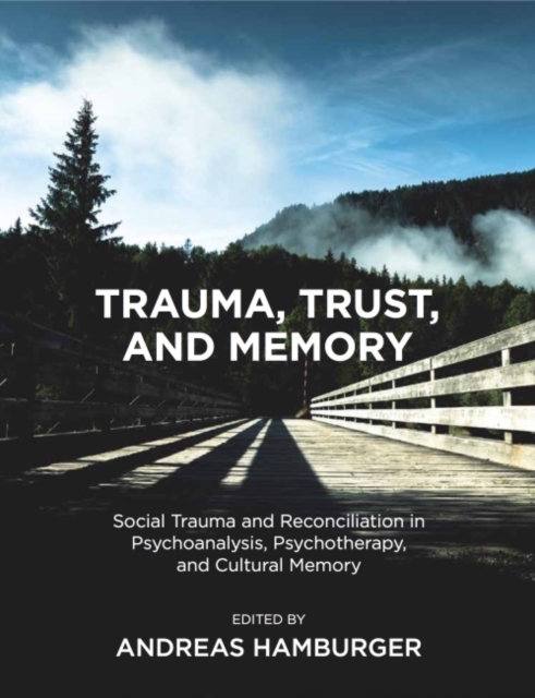 Trauma, Trust, and Memory : Social Trauma and Reconciliation in Psychoanalysis, Psychotherapy, and Cultural Memory, Paperback / softback Book