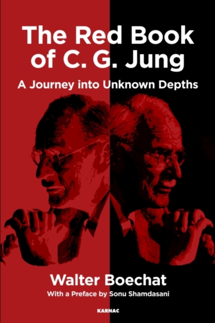 The Red Book of C.G. Jung : A Journey into Unknown Depths, Paperback / softback Book