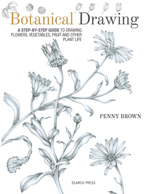 Botanical Drawing : A Step-by-Step Guide to Drawing Flowers, Vegetables, Fruit and Other Plant Life, Paperback / softback Book