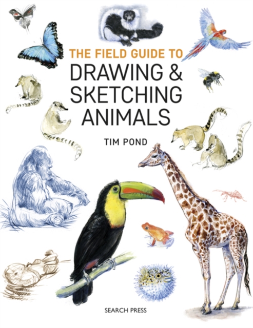 The Field Guide to Drawing & Sketching Animals, Paperback / softback Book