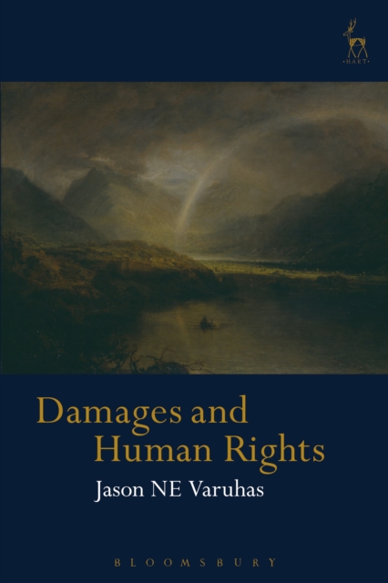 Damages and Human Rights, PDF eBook