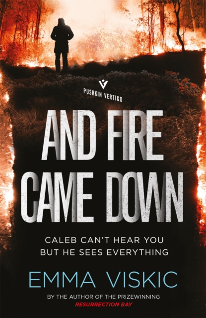 And Fire Came Down, Paperback / softback Book