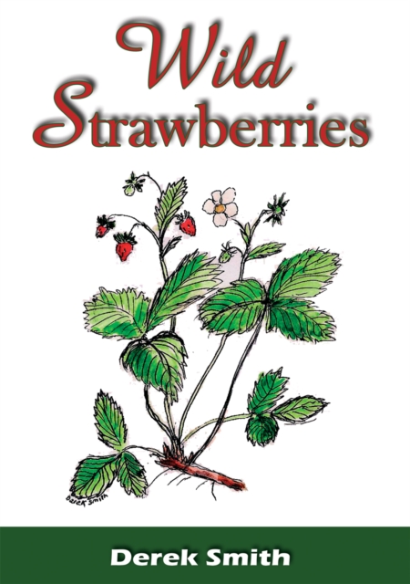 Wild Strawberries, PDF eBook