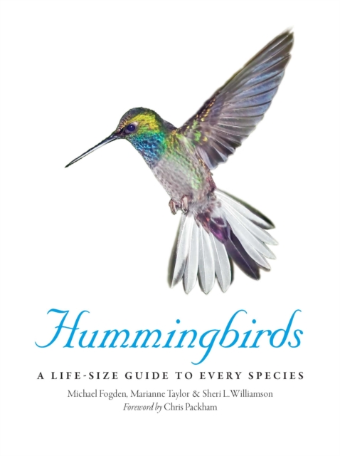 Hummingbirds : A Life-Size Guide to Every Species, Hardback Book