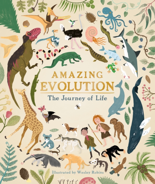 Amazing Evolution : The Journey of Life, Hardback Book
