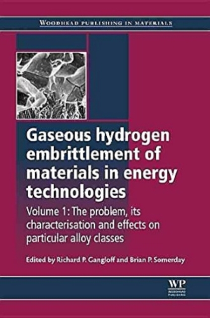Gaseous Hydrogen Embrittlement of Materials in Energy Technologies, Mixed media product Book