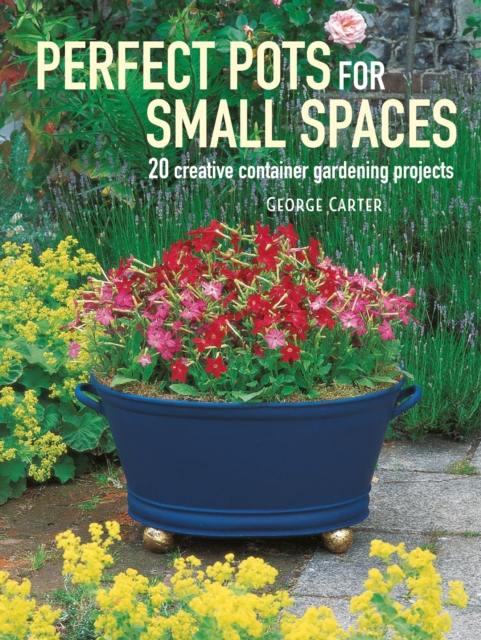 Perfect Pots for Small Spaces, EPUB eBook