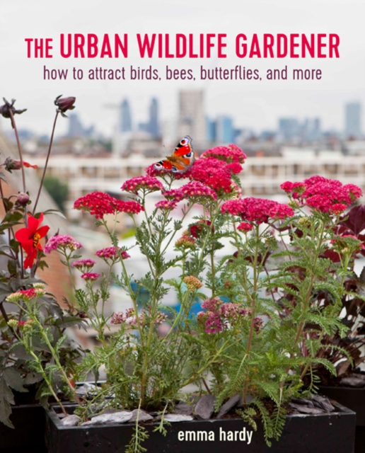 The Urban Wildlife Gardener : How to Attract Bees, Birds, Butterflies, and More, Paperback / softback Book