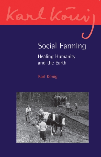 Social Farming : Healing Humanity and the Earth, Paperback / softback Book