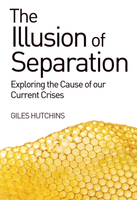The Illusion of Separation : Exploring the Cause of our Current Crises, Paperback / softback Book