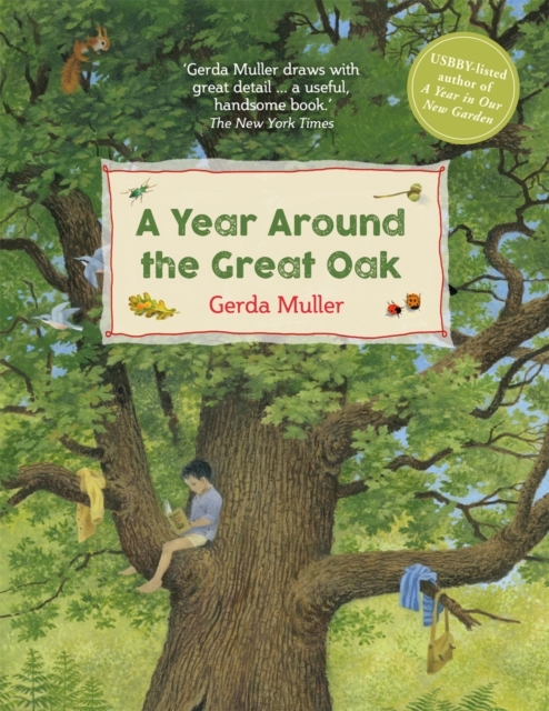 A Year Around the Great Oak, Hardback Book