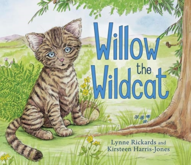 Willow the Wildcat, Paperback / softback Book