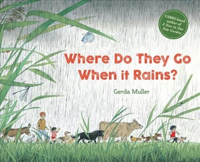 Where Do They Go When It Rains?, Hardback Book