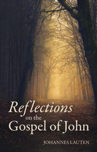 Reflections on the Gospel of John, Paperback / softback Book