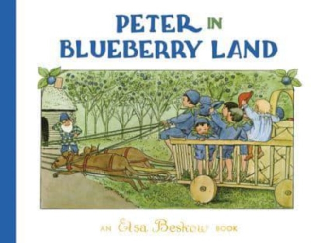 Peter in Blueberry Land, Hardback Book