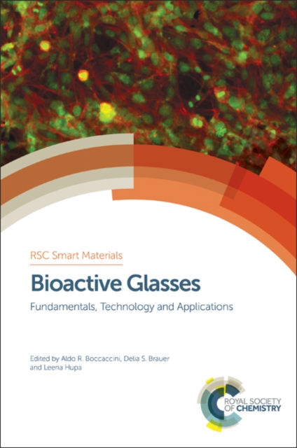 Bioactive Glasses : Fundamentals, Technology and Applications, PDF eBook