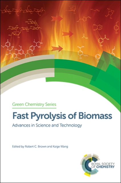 Fast Pyrolysis of Biomass : Advances in Science and Technology, Hardback Book