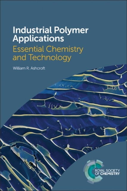 Industrial Polymer Applications : Essential Chemistry and Technology, Paperback / softback Book