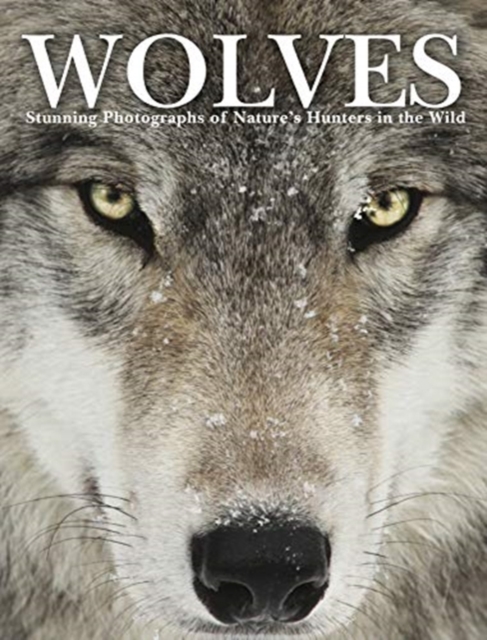 Wolves : Stunning Photographs of Nature's Hunters in the Wild, Hardback Book