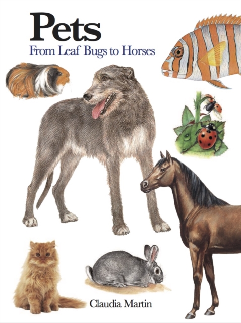 Pets : 300 Small Animals, Paperback / softback Book