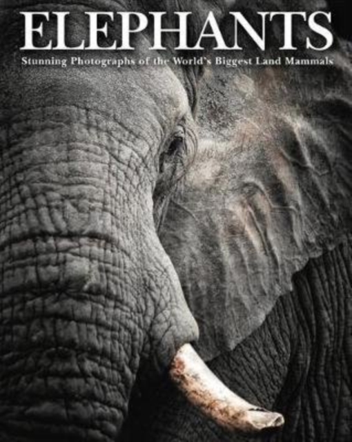 Elephants : Stunning Photographs of the World's Biggest Land Mammals, Hardback Book