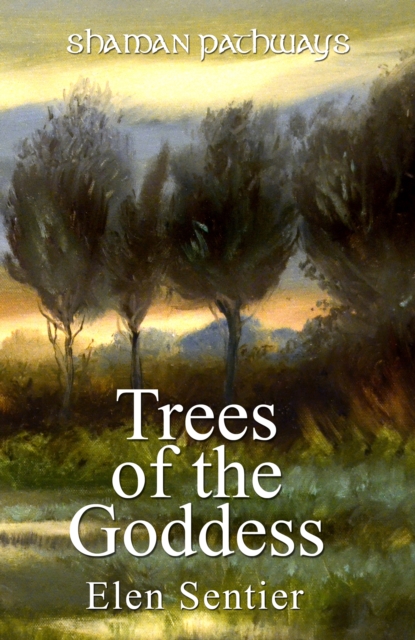 Shaman Pathways - Trees of the Goddess : A New Way of Working with the Ogham, Paperback / softback Book