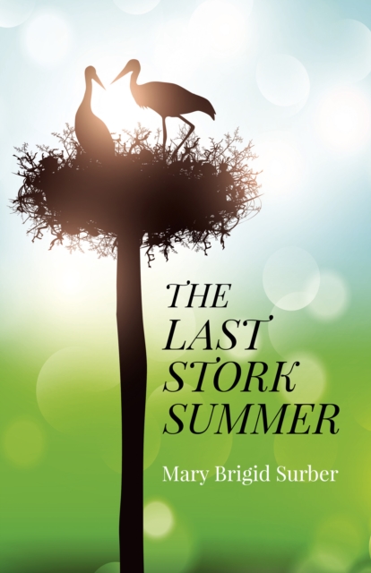 Last Stork Summer, The, Paperback / softback Book