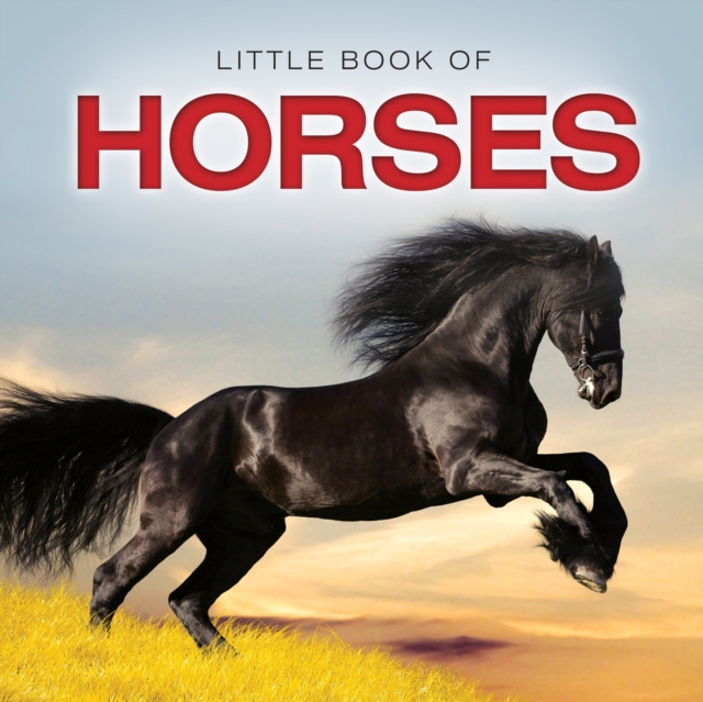 Little Book of Horses, Hardback Book