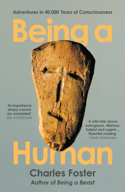 Being a Human : Adventures in 40,000 Years of Consciousness, EPUB eBook