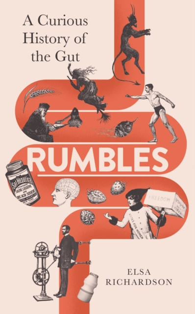 Rumbles : A Curious History of the Gut, EPUB eBook