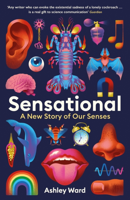 Sensational : A New Story of our Senses, EPUB eBook