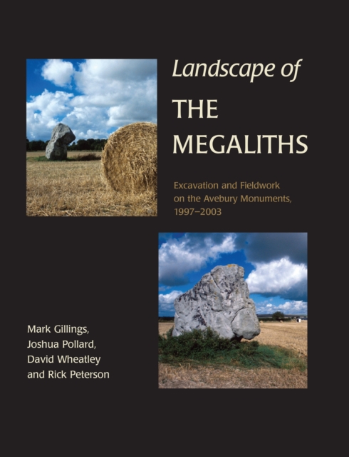 Landscape of the Megaliths : Excavation and Fieldwork on the Avebury Monuments, 1997-2003, EPUB eBook