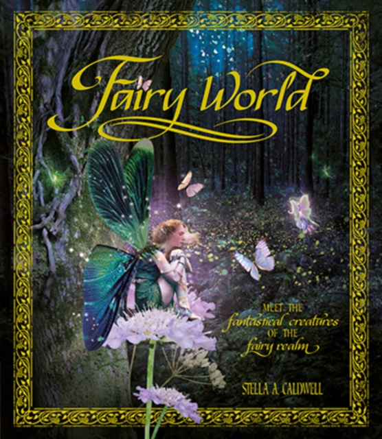 Fairyworld : Enter the Magical and Mysterious Realm, Hardback Book
