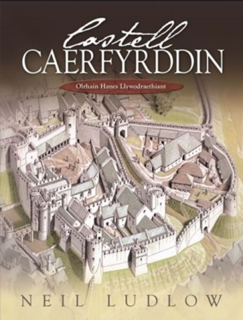 Castell Caerfyrddin : Olrhain Hanes Llywodraethiant, Hardback Book