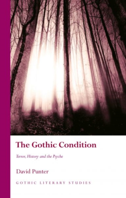 The Gothic Condition : Terror, History and the Psyche, Hardback Book
