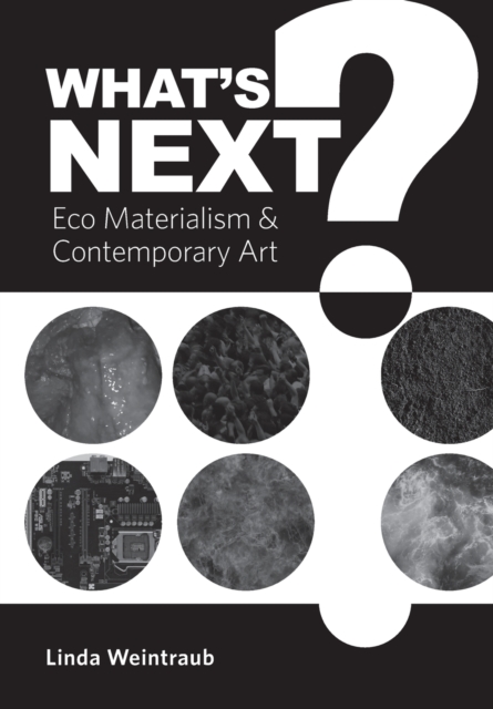 What's Next? : Eco Materialism and Contemporary Art, Paperback / softback Book