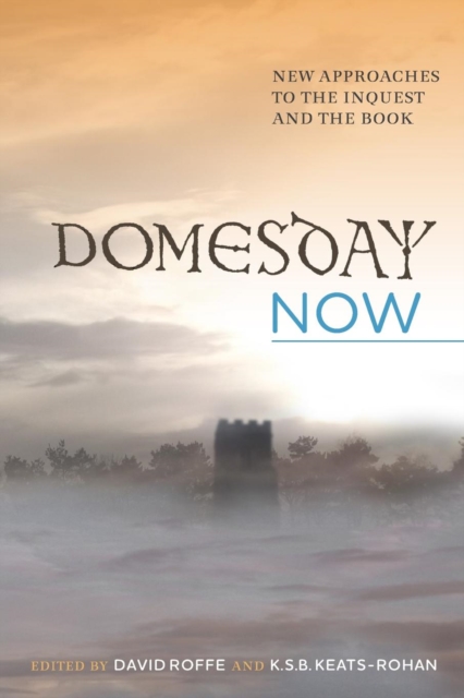 Domesday Now : New Approaches to the Inquest and the Book, Paperback / softback Book