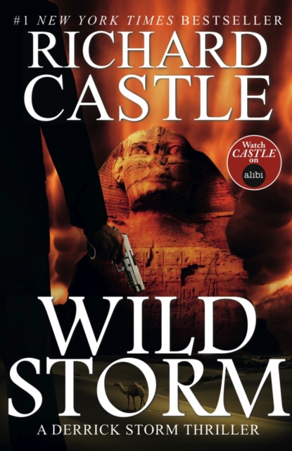 Wild Storm : A Derrick Storm Novel, Paperback / softback Book
