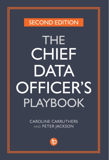 The Chief Data Officer's Playbook, PDF eBook