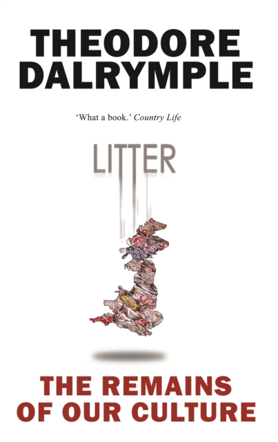 Litter : The Remains of Our Culture, Paperback / softback Book