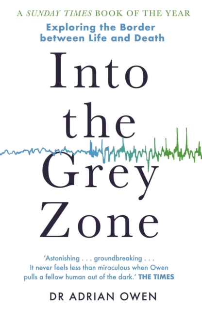 Into the Grey Zone, EPUB eBook