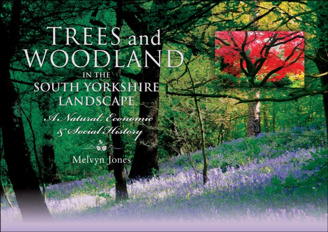 Trees and Woodland in the South Yorkshire Landscape : A Natural, Economic & Social History, EPUB eBook