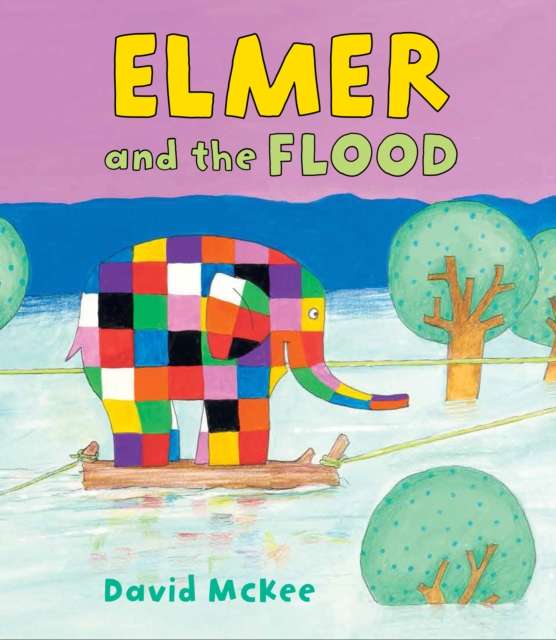 Elmer and the Flood, Hardback Book