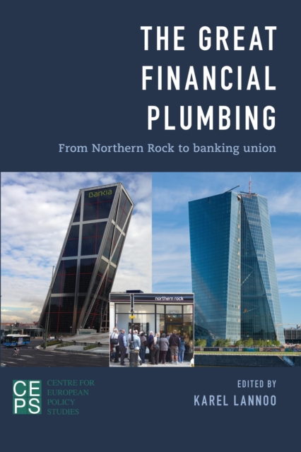 The Great Financial Plumbing : From Northern Rock to Banking Union, Paperback / softback Book
