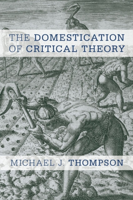The Domestication of Critical Theory, Paperback / softback Book